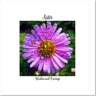 Aster Birth Month Flower September Posters and Art